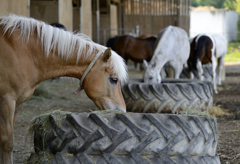 waste collection home